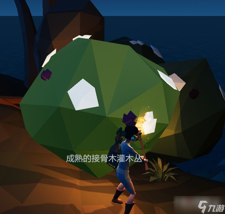 《艾兰岛》出生岛植物介绍