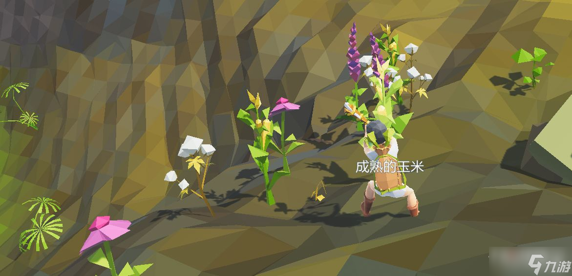 《艾兰岛》出生岛植物介绍