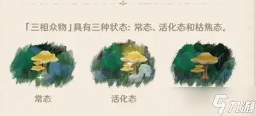 原神三相众物有什么用？