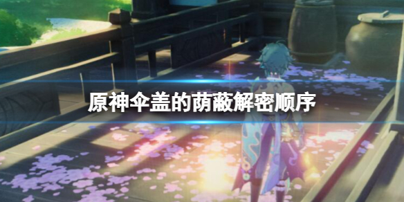《原神》伞盖的荫蔽解密顺序 伞盖的荫蔽怎么解密？