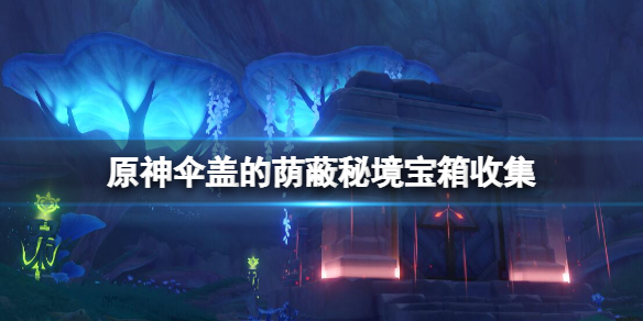 《原神》伞盖的荫蔽秘境怎么开？伞盖的荫蔽秘境宝箱收集