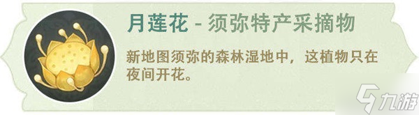 《原神》3.0提纳里全面培养指南 提纳里天赋讲解与武器、圣遗物推荐