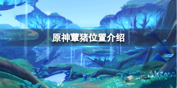 《原神》蕈猪在哪里？蕈猪位置介绍