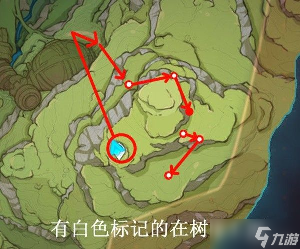 原神树王圣体菇在哪