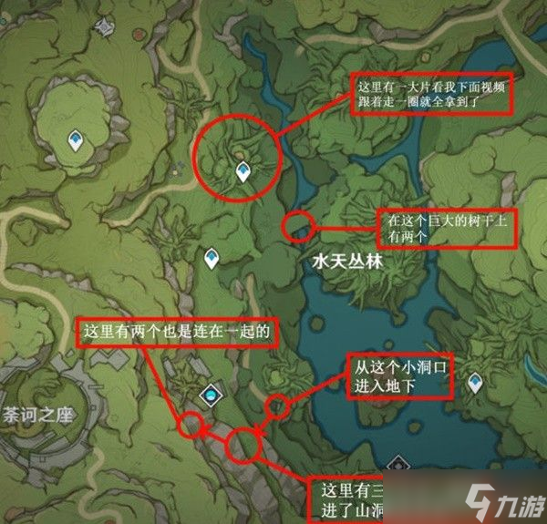 原神树王圣体菇在哪