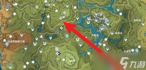 原神草神瞳全收集攻略