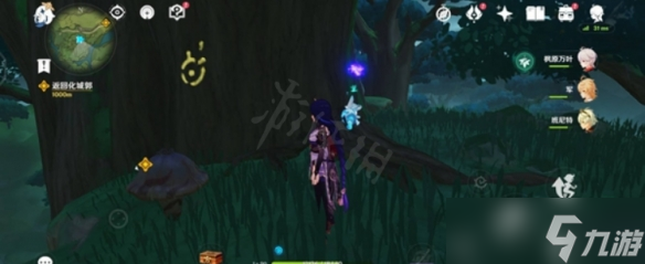 《原神》水天丛林符号在哪里？水天丛林解谜方法
