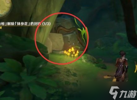 《原神》苦舍恒解除钵参花方法