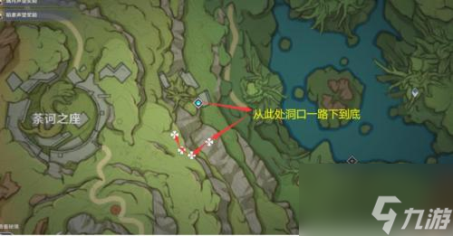 原神须弥月莲采集地点在哪