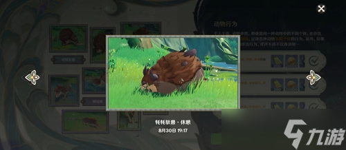 原神动物行为有哪些
