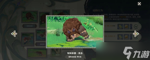 原神动物行为有哪些