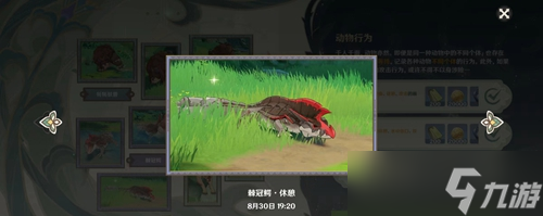 原神动物行为有哪些