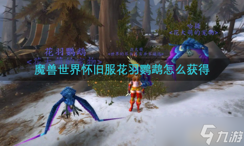 魔兽世界怀旧服花羽鹦鹉怎么获得