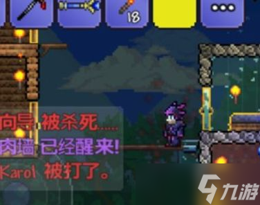 《泰拉瑞亚》肉山掉落物品