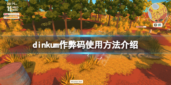 《Dinkum》控制台怎么用？dinkum作弊码使用方法介绍