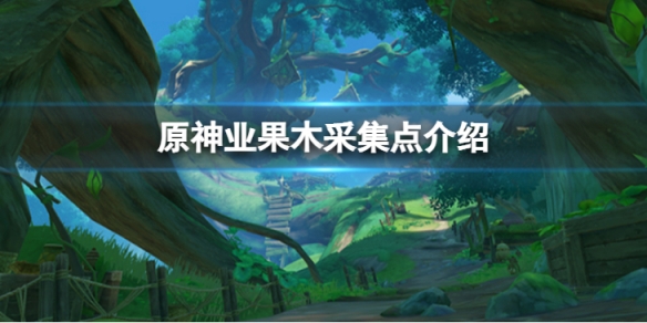 《原神》业果木哪里采集？业果木采集点介绍