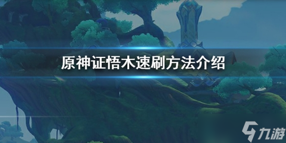 《原神》证悟木怎么速刷 证悟木速刷方法介绍