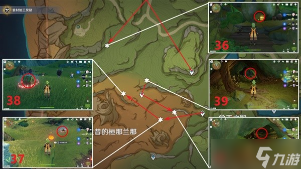 《原神》3.0须弥雨林区域奇馈宝箱收集指南