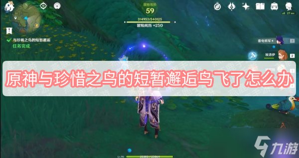 原神与珍惜之鸟的短暂邂逅鸟飞了怎么办