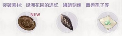 原神盈满之实突破需要哪些材料