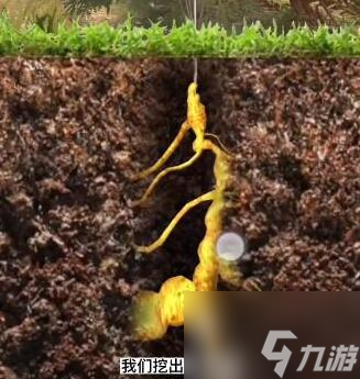 夺笋高手千年人参怎么获取