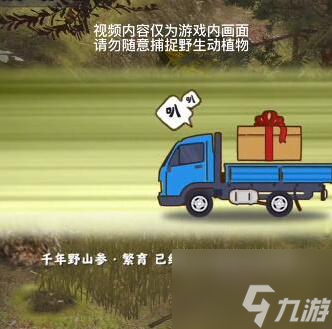 夺笋高手千年人参怎么获取