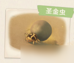 《原神》须弥沙漠生物及特产一览