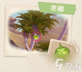 《原神》须弥沙漠生物及特产一览