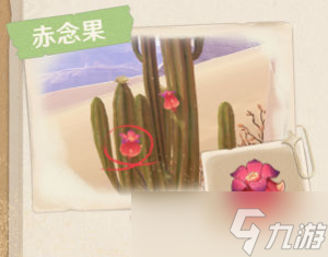 《原神》须弥沙漠生物及特产一览