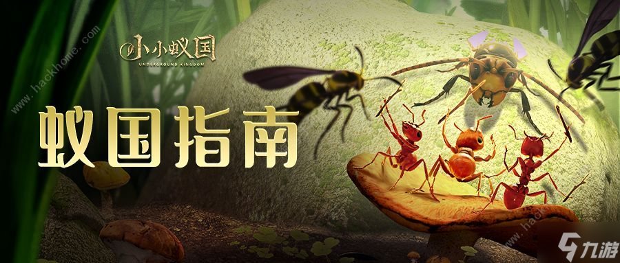 小小蚁国蚁后升级前置表 蚁后习性怎么选择