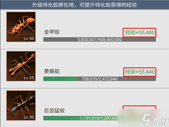 《小小蚁国》特化蚁如何进阶培养