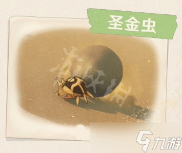 《原神》3.1大赤沙海新生物有哪些？3.1须弥大赤沙海新生物一览