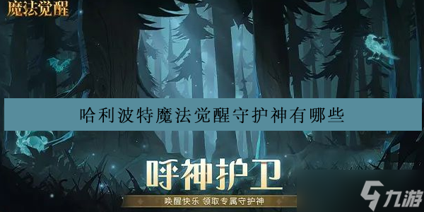 哈利波特魔法觉醒守护神有哪些
