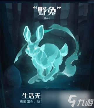 哈利波特魔法觉醒守护神有哪些