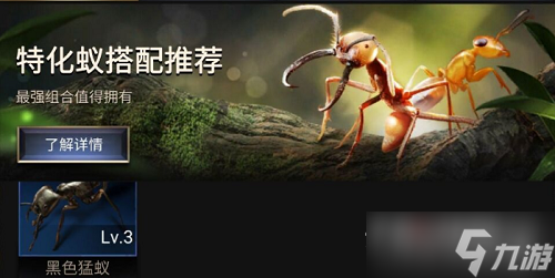 《小小蚁国》特化蚁阵容搭配攻略