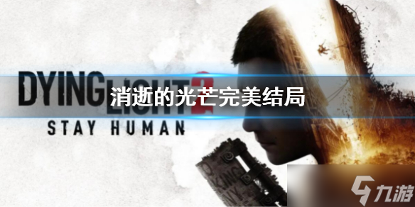 《消逝的光芒》完美结局