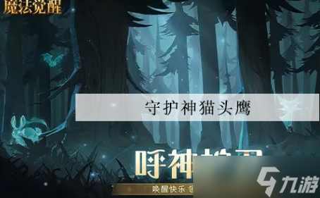 哈利波特魔法觉醒守护神猫头鹰怎么获得的