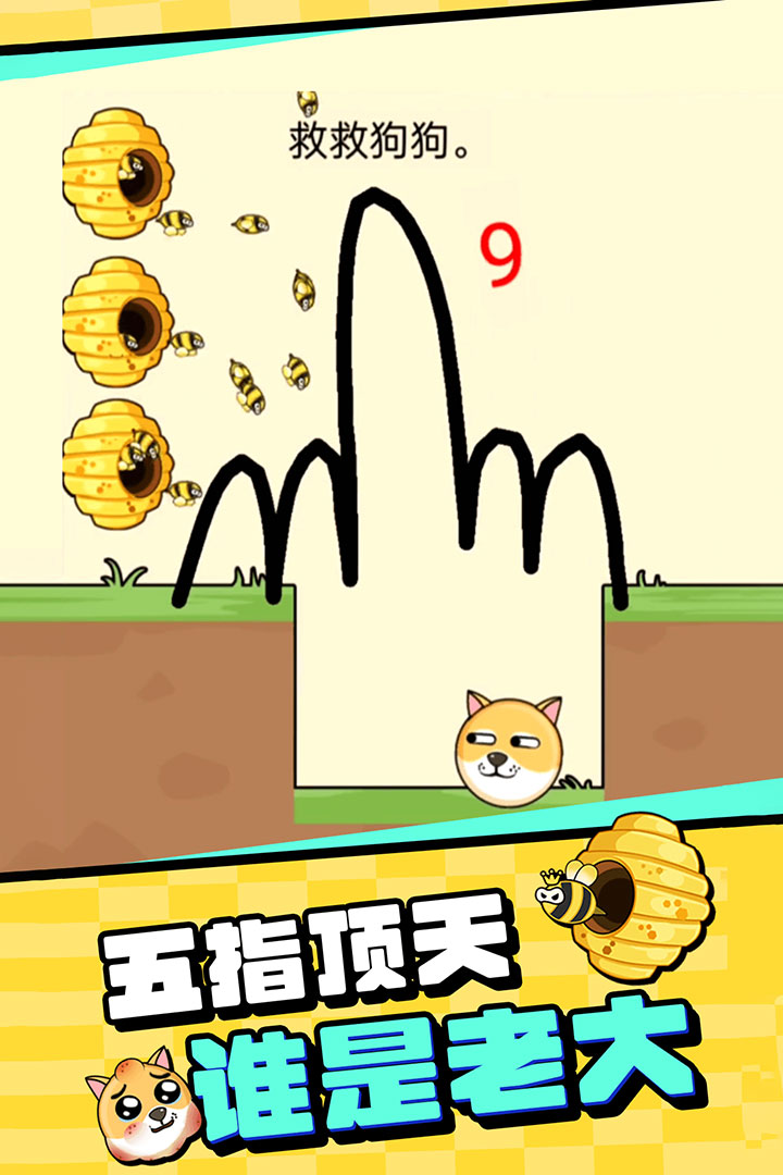 我的狗狗什么时候出