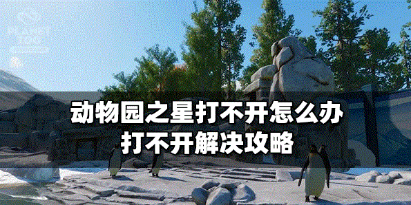 动物园之星为什么会打不开