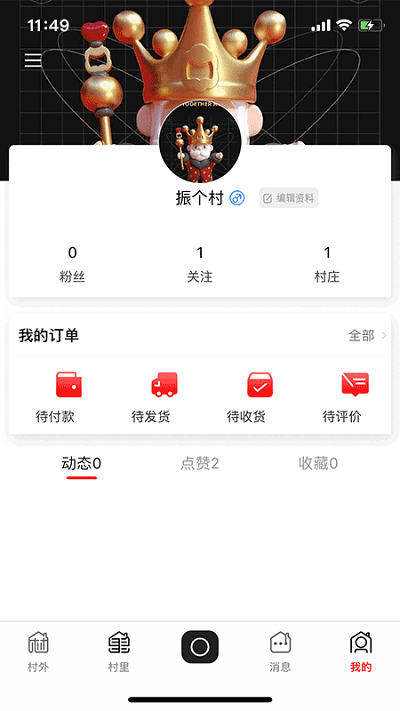 飞村app