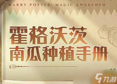 哈利波特魔法觉醒惊奇南瓜怎么玩