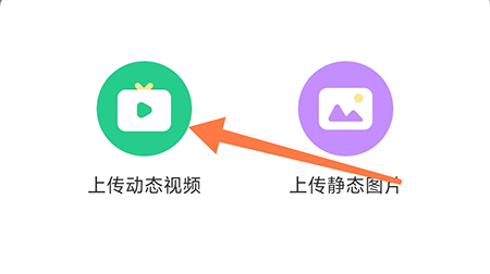 哈屏壁纸