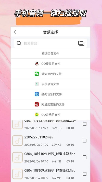 音频格式大师下载