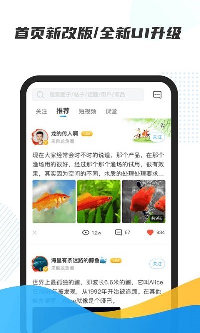 龙巅app