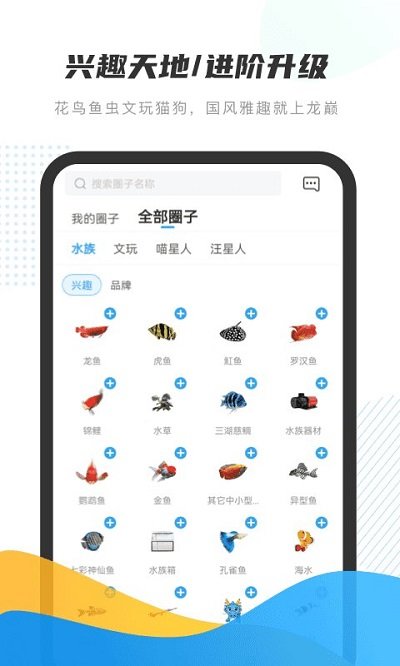 龙巅app