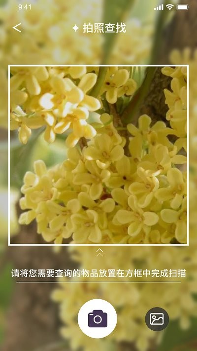 我的开心花园app