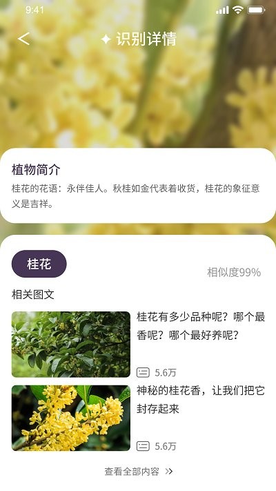 我的开心花园app