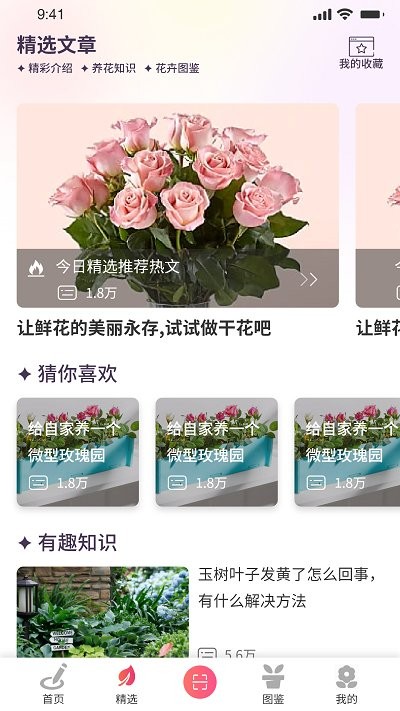 我的开心花园app