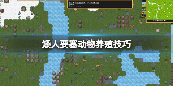 《矮人要塞》动物怎么养？动物养殖技巧