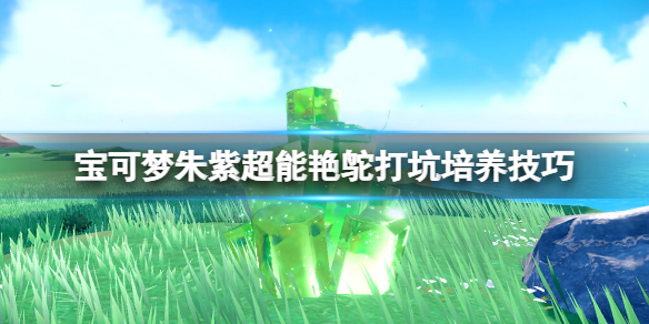 《宝可梦朱紫》超能艳鸵怎么培养？超能艳鸵打坑培养技巧